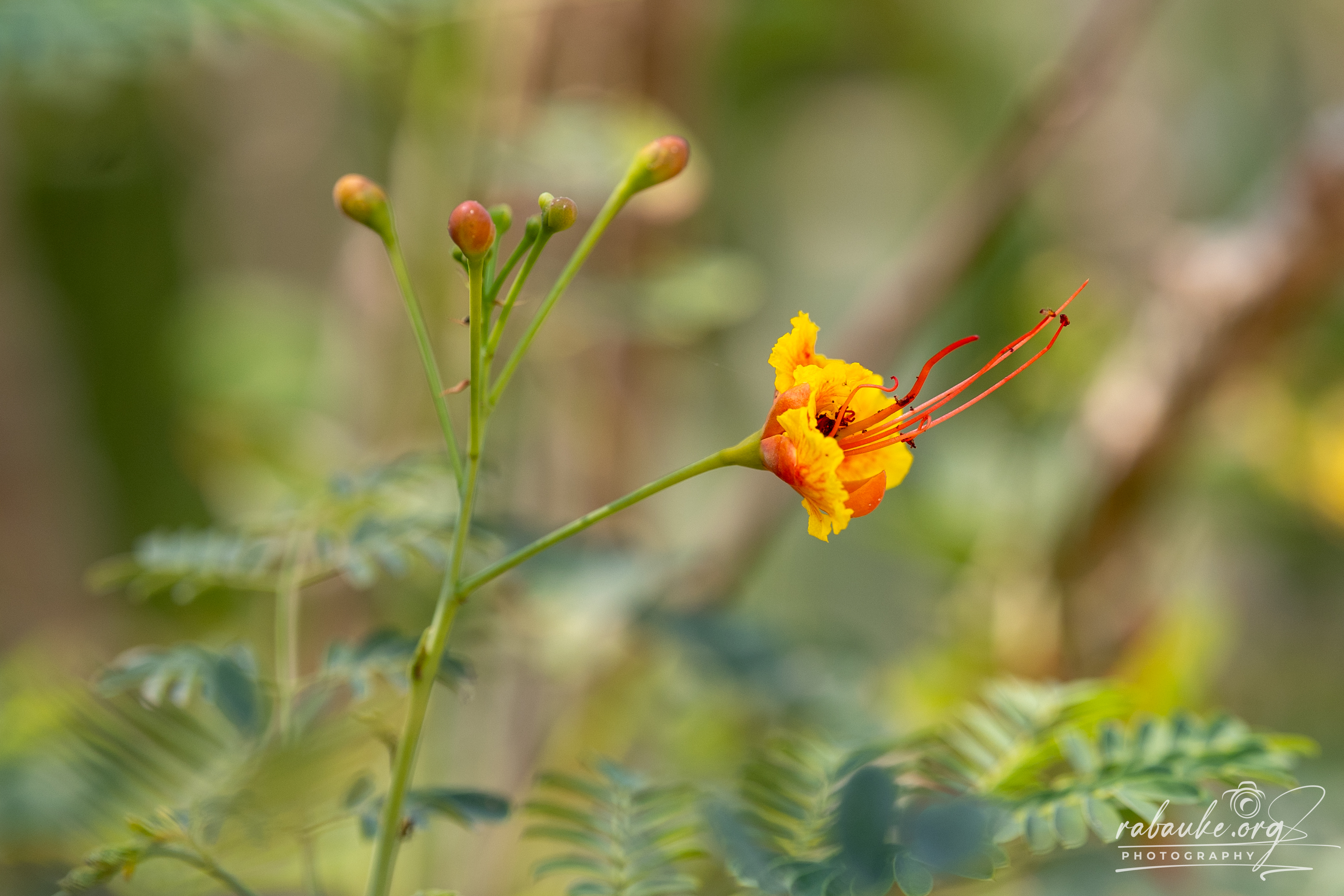 Landschaft und Natur